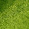 Cabilock 8-Pack Artificial Grass Miniature Decorations: Realistic Grass and Moss-like Decorations for Miniature Houses, Garden Rounds,