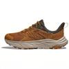 Anacapa 2 Low Gore-Tex Honey Barley Unisex-Sneaker 1141632-HLY