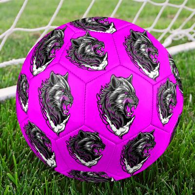 Fußball – Fußbälle