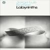 Labyrinths by Jorge Luis Borges Paperback Book 9780141184845
