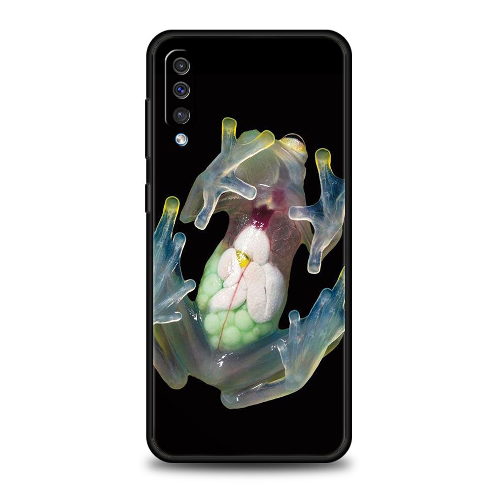 

Чехол для телефона Samsung Galaxy A56 A36 A26 A06 A16 A24 A36 A54 A14 A42 A22 A20 A12 A10 5G Мягкий ТПУ Чехол Реалистичный Принт Лягушки Сумки Samsung A24 4G