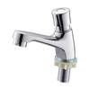 Public Sink Press-Type Timed Faucet