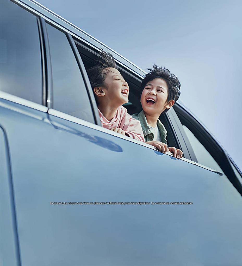 Compatible Headrest & Lumbar Support for Lantu FREE/Zhui Guang/Meng Xiang Jia/Tai Shan/Zhi Yin - Car Neck & Lumbar Protection