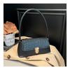 Today's popular armpit bag 2 autumn new bag women's casual trend handbag fashion shoulder bag