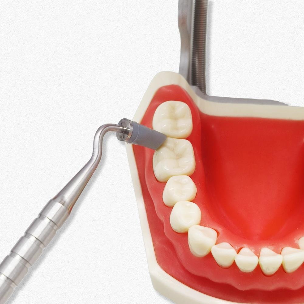 1 set de pensule din rășină dentară, mâner din oțel inoxidabil, modelare, cap moale din silicon, instrumente adezive pentru ciment compozit din porțelan