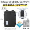 Thermos Insulated Backpack 25L All Black RFP-025 ALB
