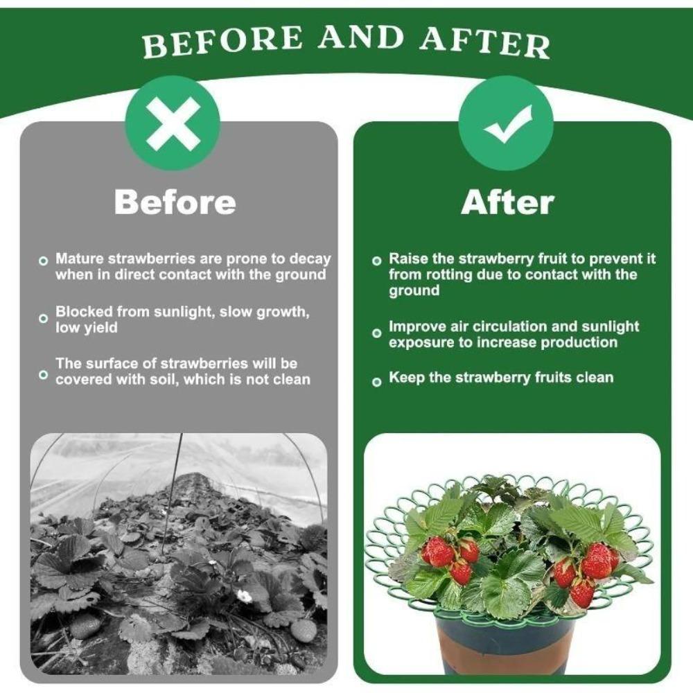 Erdbeerpflanzen-Stütze mit 3 stabilen Füßen, Gartenblumen-Frucht-Gemüse-Wachständer, Pflanzenständer-Schutz für Balkon & Außenbereich, Gartenzubehör