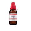 @ Dr Willmar Chimaphila Umbellata Q Homeopathic Medicine 30ML Zr-2670-60%Off