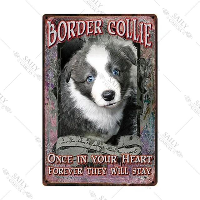 Dog Rules Metal Print Plates Lovely Bulldog Boxer Beagle Great Dane Metal Tin Sign Poster Vintage Pub Bar Sign Man Cave Plaques