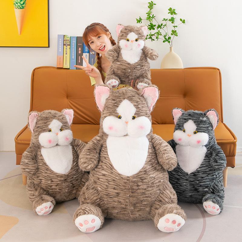 New Cute and Cute Soothing Cat Doll Round Bobo Cat Plush Toy Sleeping Companion Doll Throw Pillow