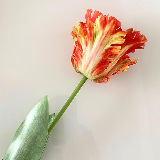 Kunstig tulipan realistisk falsk blomst med blader ingen vedlikehold falsk tulipan for hjemmedekor bryllupsfest bordpynt