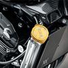 LEDISHUN Motorcycle Radiator Cap Cover Decorative Protector for Kawasaki Z900RS Z900RS CAFE CNC Aluminum Alloy Accessory (21-24) (Golden)