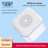 Hyundai AI Smart Portable Bluetooth Speaker CN Plug (adapter Included)
