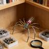 Model Păianjen Mecanic Steampunk Ornament Păianjen Metalic 3D Steampunk Kit Asamblare Păianjen Puzzle DIY Cadou Iubitor de Păianjeni Copii Adulți