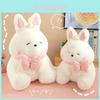 Plush Rabbit Toy With Pp Cotton Filling For Kids Playroom And Bed Decor