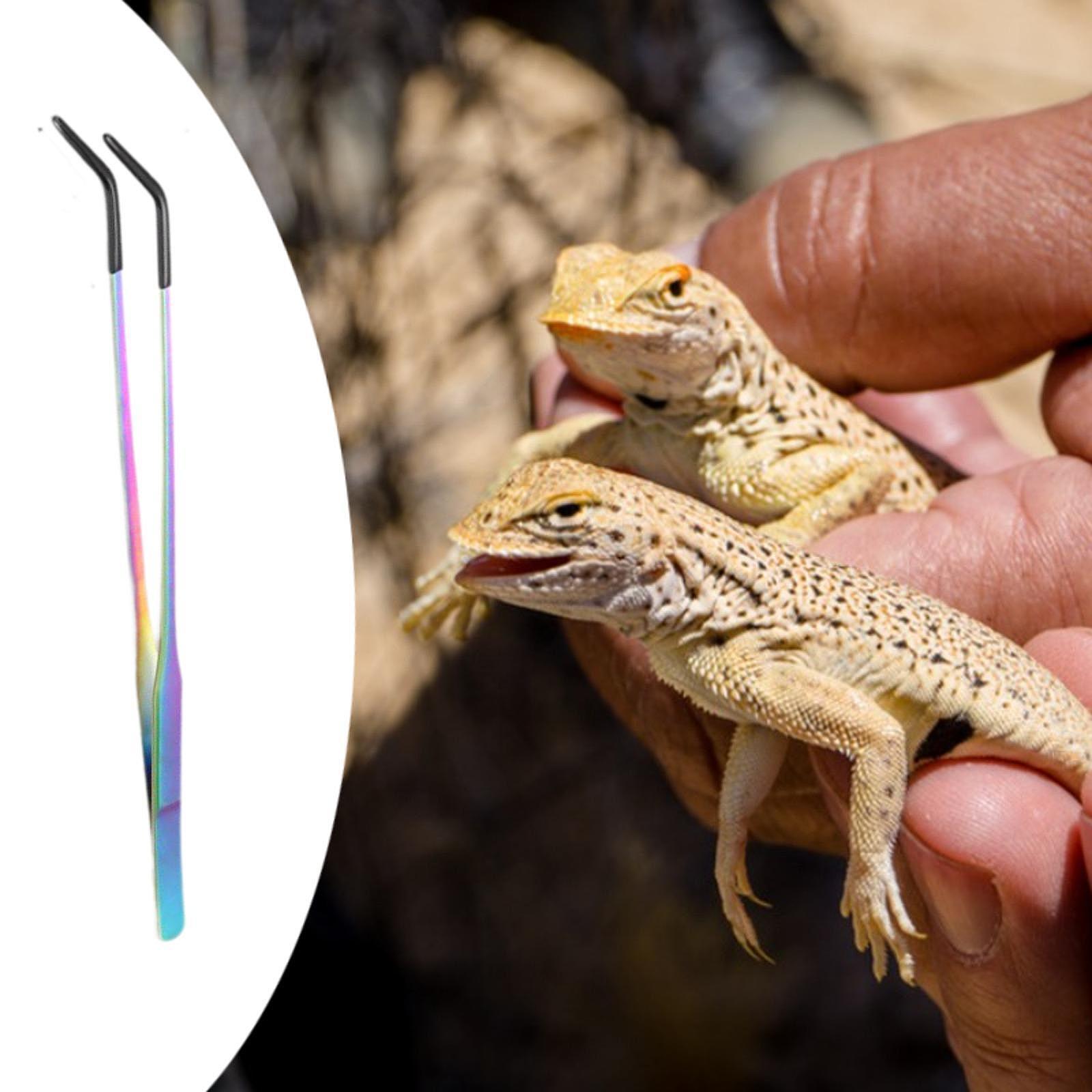 Щипцы для еды из нержавеющей стали террариумные посадочные щипцы для