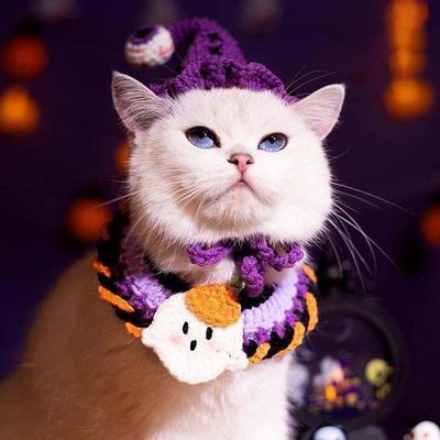 Gatos – Roupa para gatos
