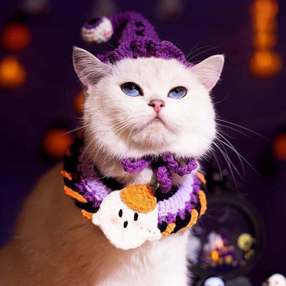 Clothes Halloween Cat Headgear Pumpkin Cat Woven Hat Bib Halloween Pets Costumes  Pet Accessories