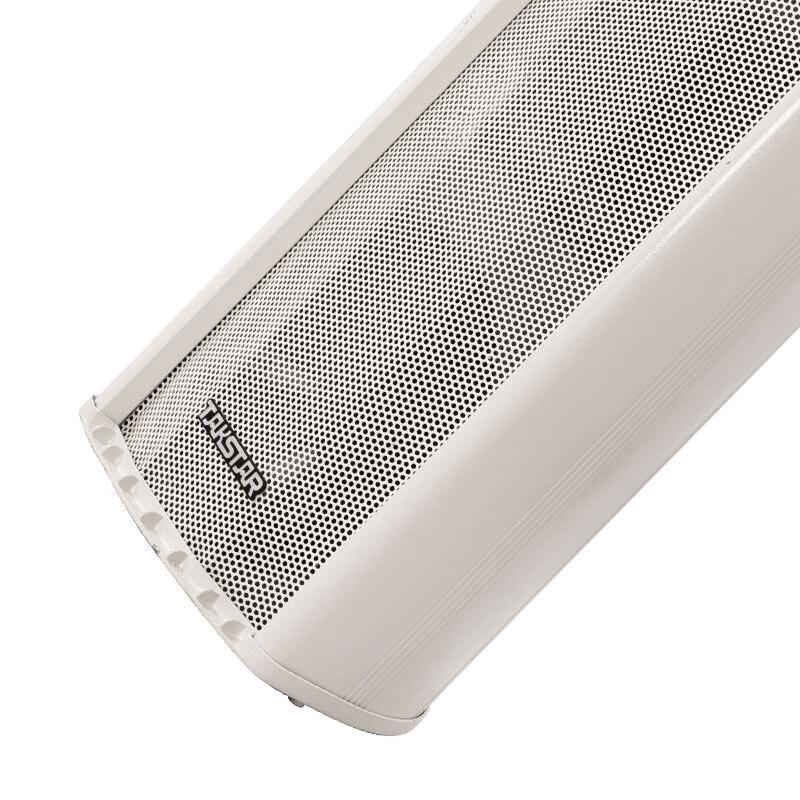 TAKSTAR EBS-812 Outdoor Waterproof Speaker Column CN plug (adapter included)