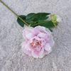 1Pc  Artificial Flower Realistic Easy Care 2-head No Fade Peony Fake Flower for Wedding