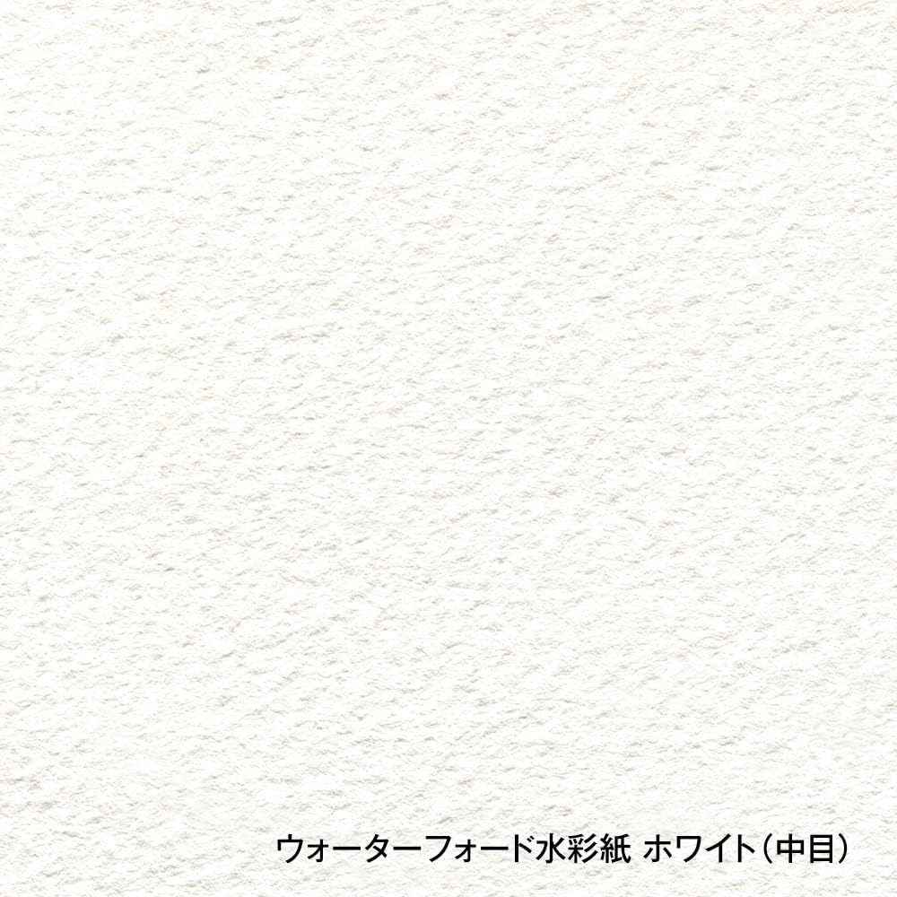 Holbein Waterford Waterford Watercolor Paper EHB-F2 White Medium 300g F2 Size Block Type 12 Sheet...
