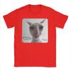 Funny James Cat Meme Pure Cotton T-Shirt For Man Summer Cute  Classic T Shirts Round Neck Harajuku Tee Shirt Oversized Loose