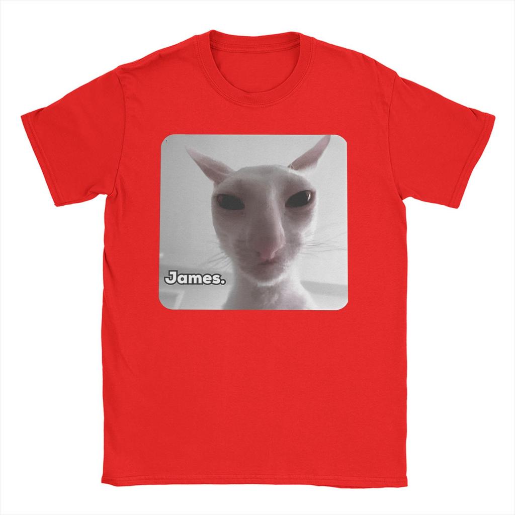 Funny James Cat Meme Pure Cotton T-Shirt For Man Summer Cute Classic T Shirts Round Neck Harajuku Tee Shirt Oversized Loose