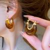 Autumn and Winter Retro Maillard Coffee Color Resin Tiger's Eye Earrings, Ear Buckles, Niche Earrings for Women