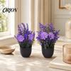 Decorațiuni pentru casă – Flori decorative şi coroane de flori