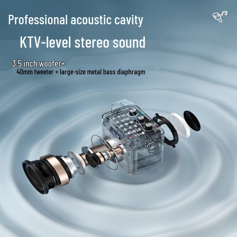 Newsmy K519 Portable Karaoke Bluetooth Speaker CN plug (adapter included)