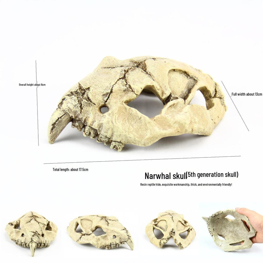 Akril Hüllőtenyésztő Doboz Dekoratív Koponyával