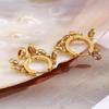 Fashionable Stainless Steel Earring Women Zircon Hoop Earring Gold Plated Fine Jewelry Non Tarnish Piercing Jewelry