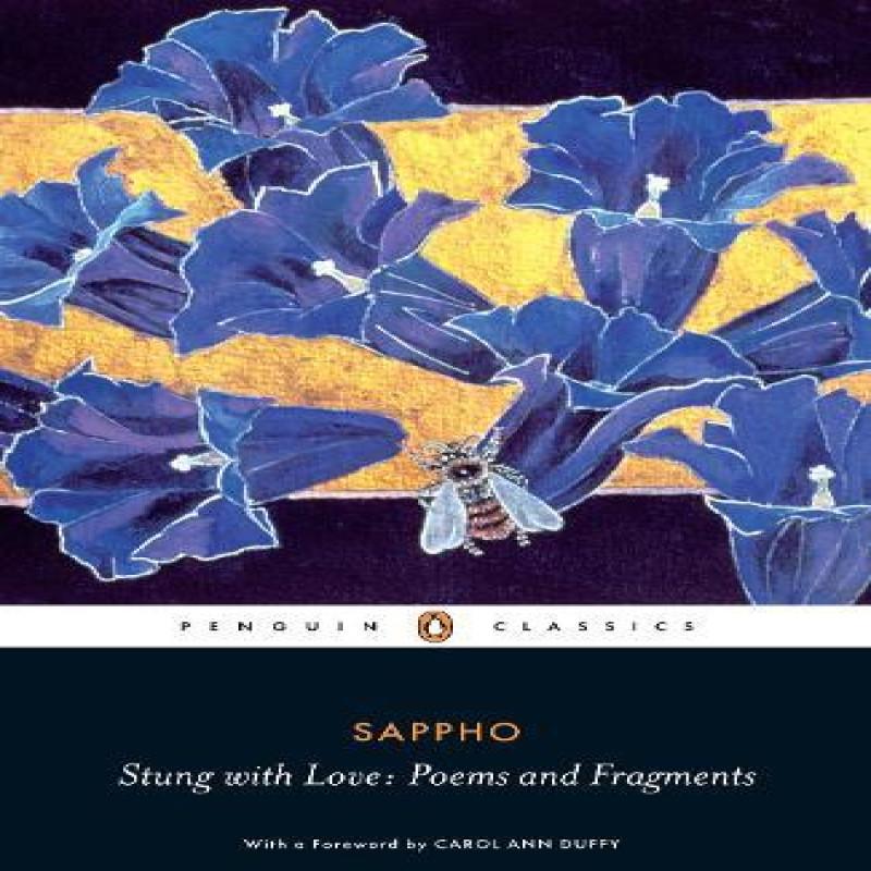Stung with Love Poems and Fragments of Sappho by Sappho Paperback Book 9780140455571