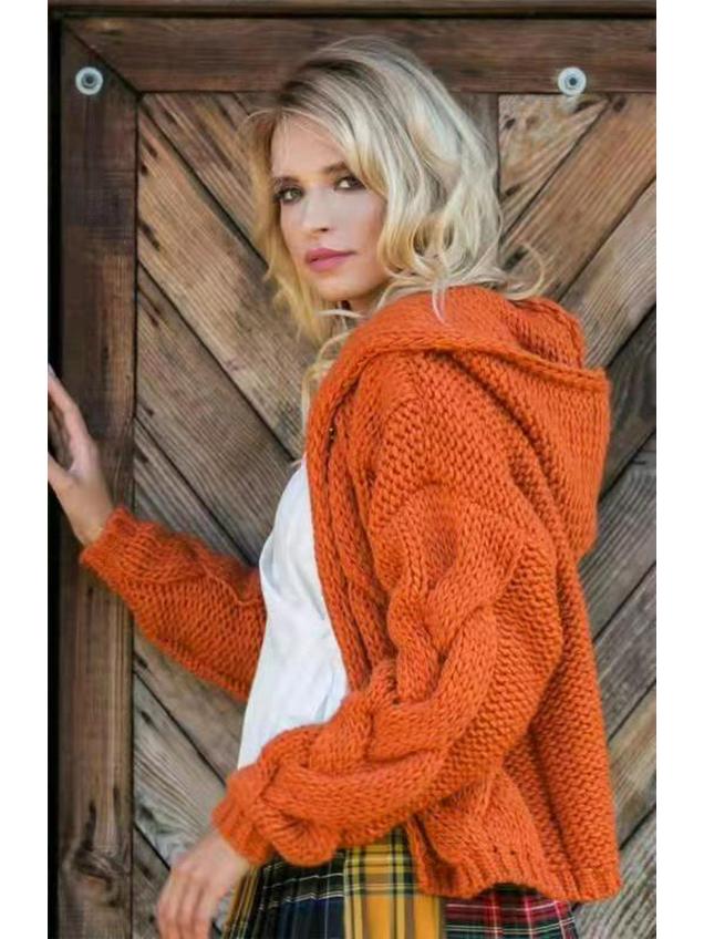 2024 Women's Loose High Neck Winter Fashion Sweater Coat