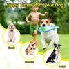 Squeaky Water Bottle Dog Toy for Aggressive Chewers, Durable Chew Toy for Medium & Large Dogs