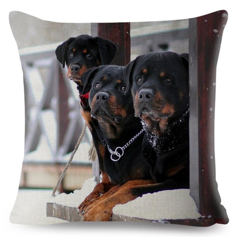 rottweiler pillow