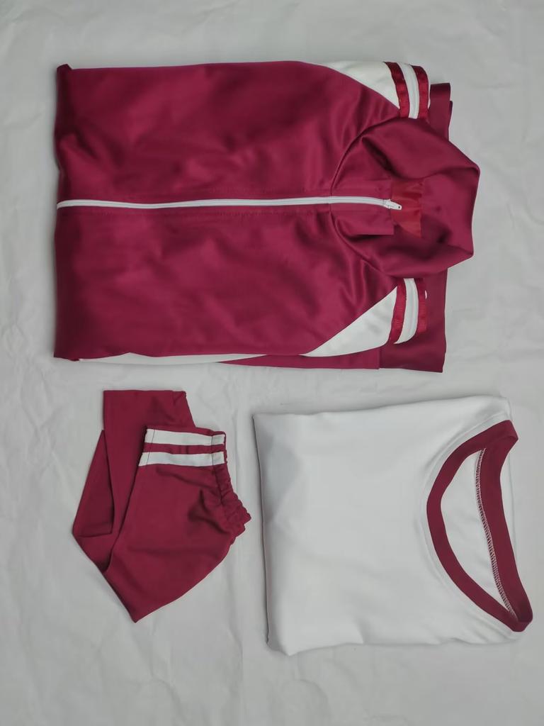 Blue Archive Ako Amaame Gym Uniform Cosplay Costume for and Anime Costume for School and Special Amaame Gym Size [qiqiCOS] (Blue Archive) Men, Women,