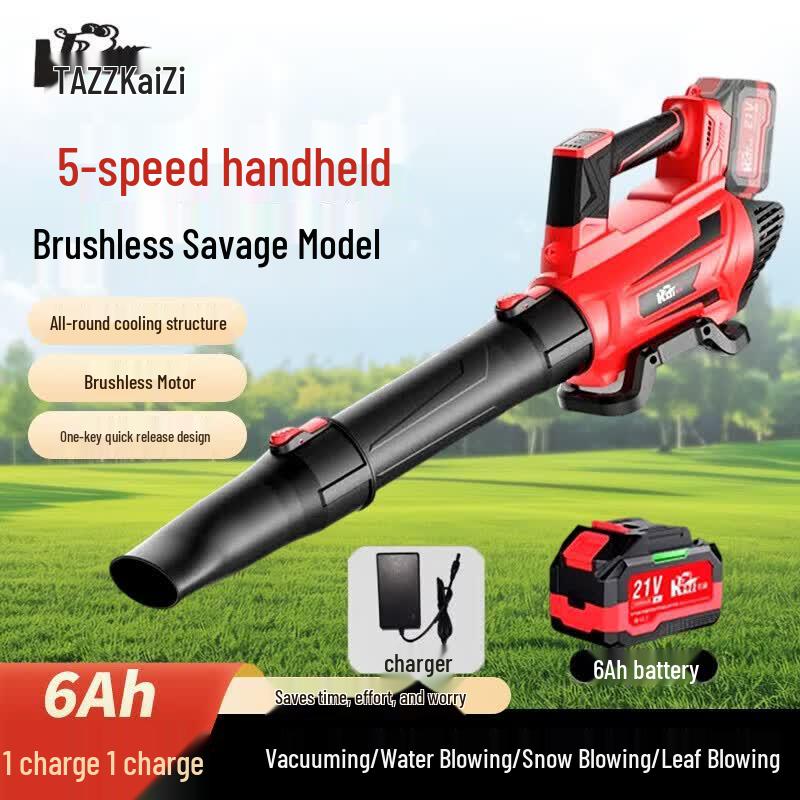 Cordless High-Power Blower CN plug (adapter included)