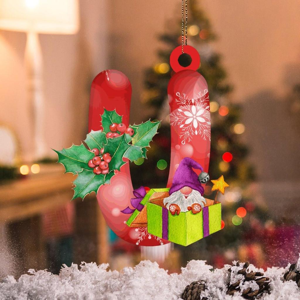Vánoční dekorace Přívěsek Vánoční strom Tag Téma Party Crafts Ornament