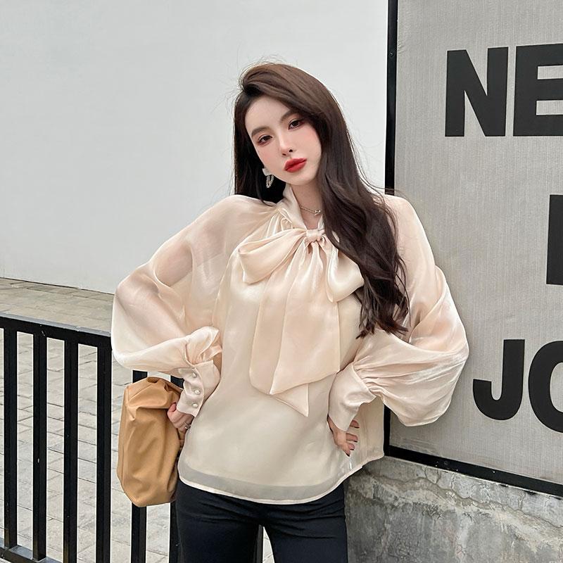 Mesh Shirt Top Women's Design Chiffon Shirt Lantern Sleeve Blouse Bow