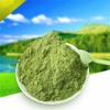 100g Organic Wheat Seedlings Tea Grass Extract Tea Powder Top Grade 100% Purely Natural