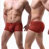 Men Summer Thin Underwear Low-rise Sexy Transparent Lace Shorts Panties Breathable Lightweight Elastic Comfortable Underwear