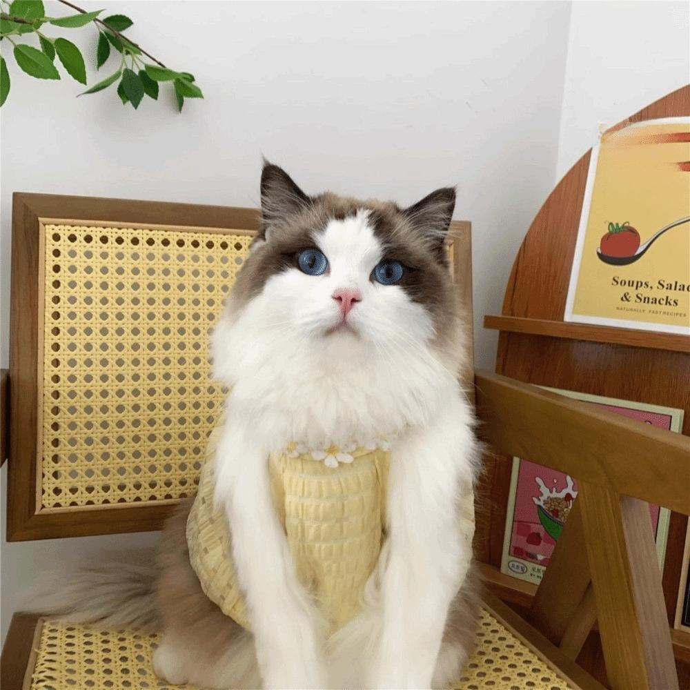 Sweet Dog Plaid Dress Soft Pet Suspenders Cat Pretty Dress Puppy Dresses  Outdoor Activities