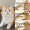 New Style Cat Hair Storage Bag Pendant Cute Pet Fur Souvenir Box Fashionable Versatile Keychain Accessories Gifts For Cat Lovers