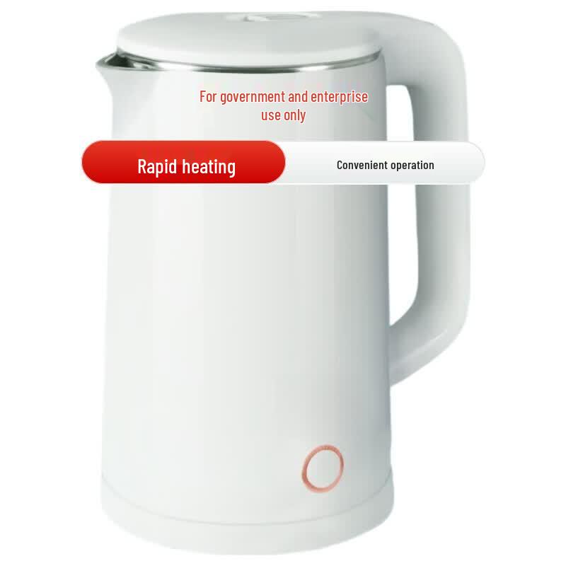 Liven Electric Kettle