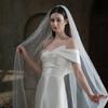 Bachelorette Party Bridal Veil Decorations Bride To Be Gift Bridal Shower Wedding Hen Night Bridal Veil Bride To Be Gift