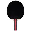 Double Fish 2-Star Entry-Level Shakehand Table Tennis Racket