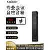 KAXISAIER Professional Passive Column Speaker CN Plug (adapter Included) (CN Version)