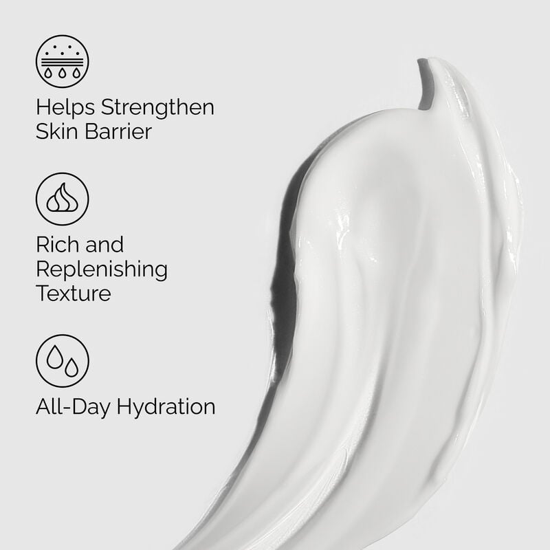 THE ORDINARY Natural Moisturizing Factors + PhytoCeramides 100ml