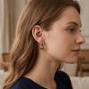 Delicate Zircon Hoop Earrings Light Luxury Women Earrings Temperament Clip Earrings  Women